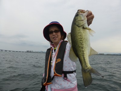 truth news ブログ写真 2014/06/22