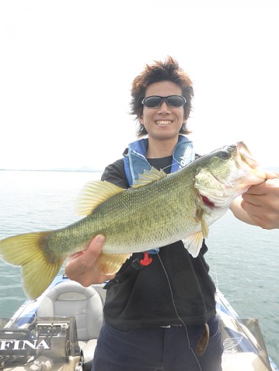 truth news ブログ写真 2014/06/23