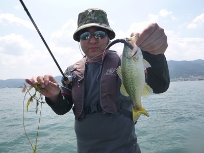 truth news ブログ写真 2014/06/25