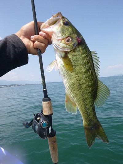 truth news ブログ写真 2014/06/25