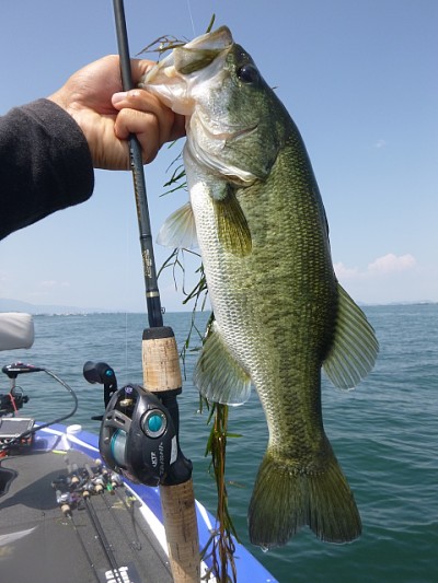 truth news ブログ写真 2014/06/25