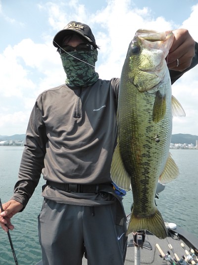 truth news ブログ写真 2014/07/01