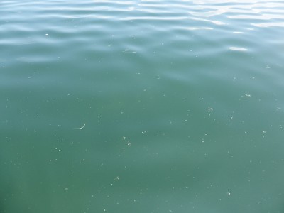 truth news ブログ写真 2014/07/01