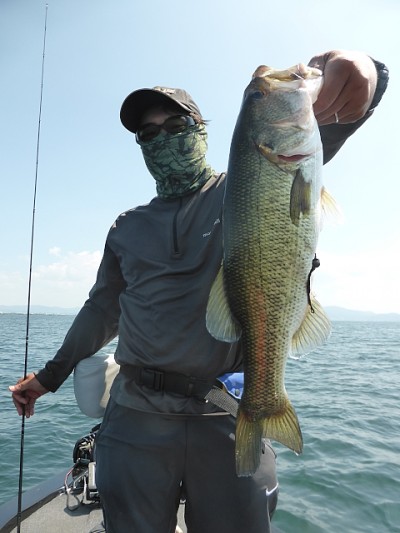 truth news ブログ写真 2014/07/01