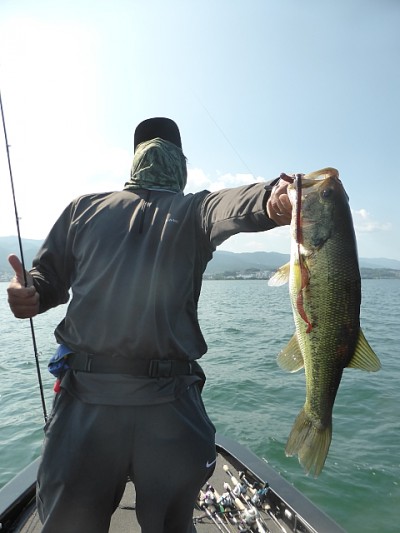 truth news ブログ写真 2014/07/01