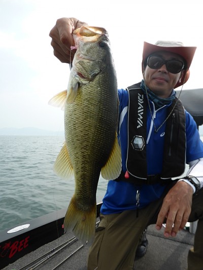 truth news ブログ写真 2014/07/02