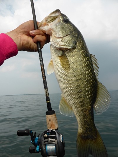 truth news ブログ写真 2014/07/02