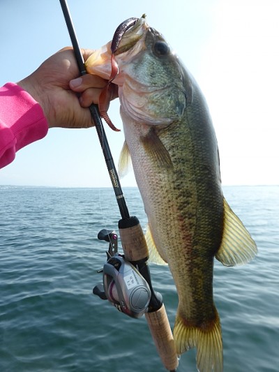 truth news ブログ写真 2014/07/02