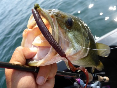 truth news ブログ写真 2014/07/02