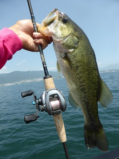 truth news ブログ写真 2014/07/02