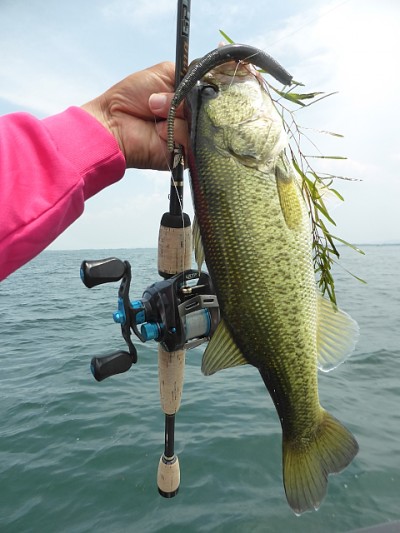 truth news ブログ写真 2014/07/02