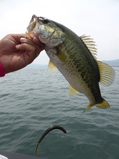 truth news ブログ写真 2014/07/02