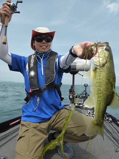 truth news ブログ写真 2014/07/02