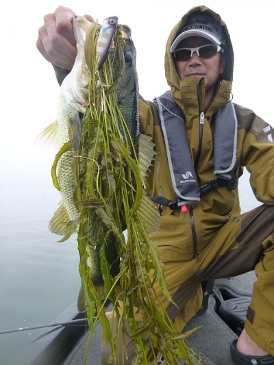 truth news ブログ写真 2014/07/03