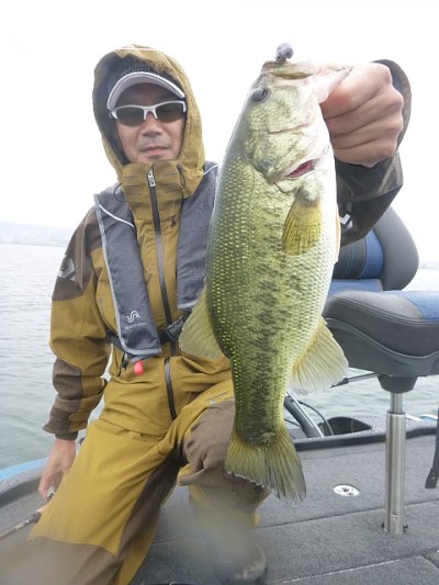 truth news ブログ写真 2014/07/03