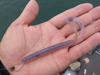 truth news ブログ写真 2014/07/03