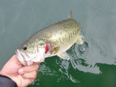 truth news ブログ写真 2014/07/03