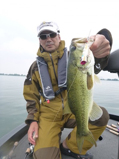 truth news ブログ写真 2014/07/03