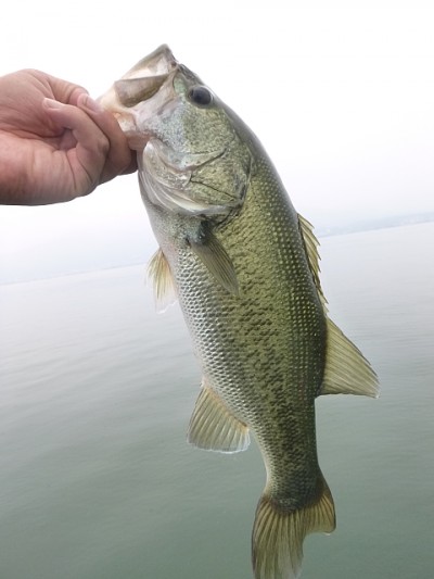 truth news ブログ写真 2014/07/03