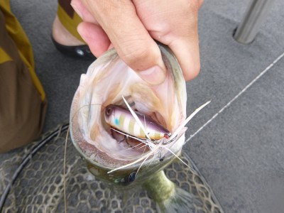 truth news ブログ写真 2014/07/03