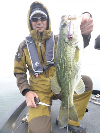 truth news ブログ写真 2014/07/03