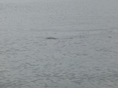 truth news ブログ写真 2014/07/05