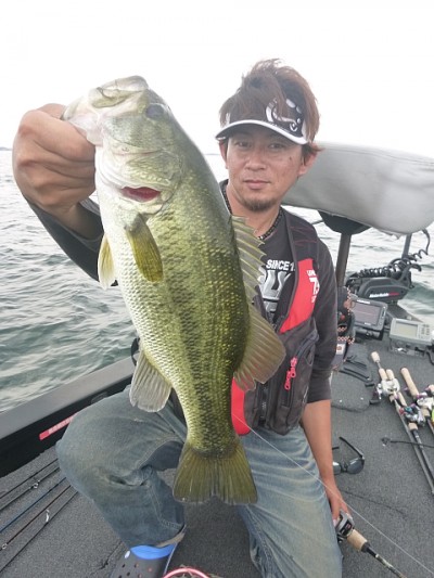 truth news ブログ写真 2014/07/05