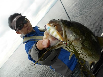 truth news ブログ写真 2014/07/05