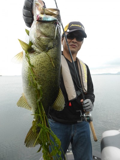 truth news ブログ写真 2014/07/05