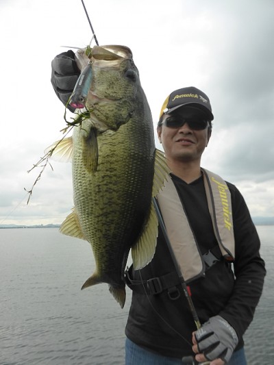 truth news ブログ写真 2014/07/05