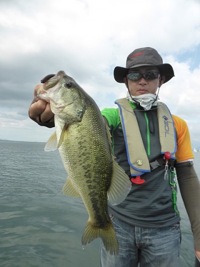 truth news ブログ写真 2014/07/05