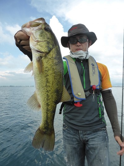 truth news ブログ写真 2014/07/05