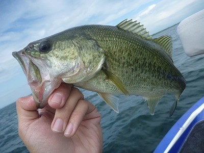 truth news ブログ写真 2014/07/05