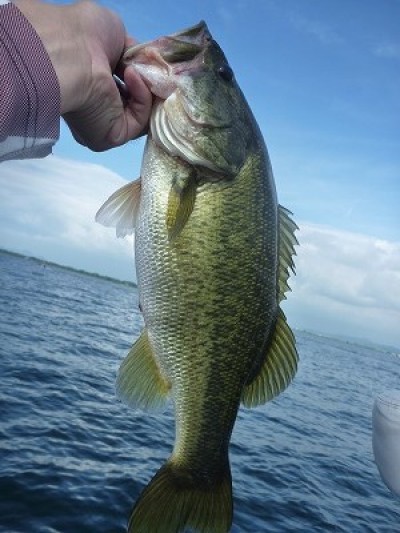 truth news ブログ写真 2014/07/05