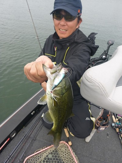 truth news ブログ写真 2014/07/08