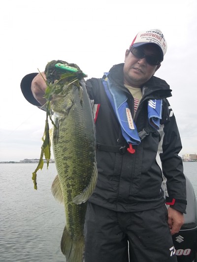 truth news ブログ写真 2014/07/08