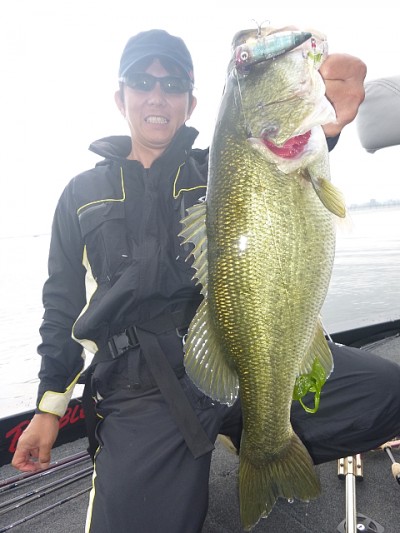 truth news ブログ写真 2014/07/08