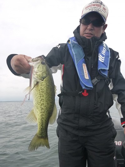 truth news ブログ写真 2014/07/08