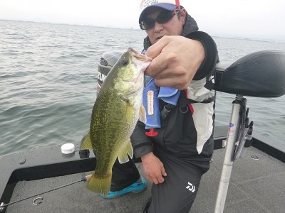 truth news ブログ写真 2014/07/08