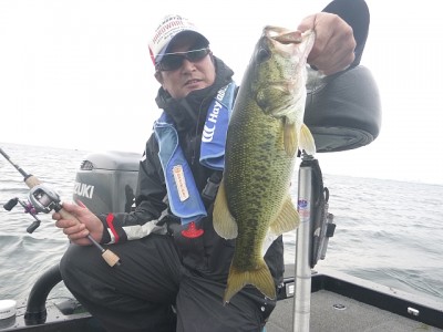 truth news ブログ写真 2014/07/08