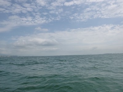 truth news ブログ写真 2014/07/09