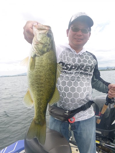 truth news ブログ写真 2014/07/09