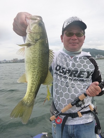 truth news ブログ写真 2014/07/09