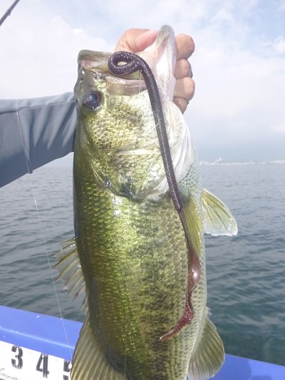 truth news ブログ写真 2014/07/09