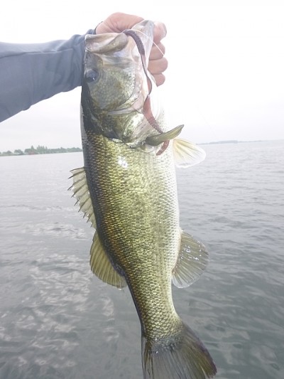 truth news ブログ写真 2014/07/09