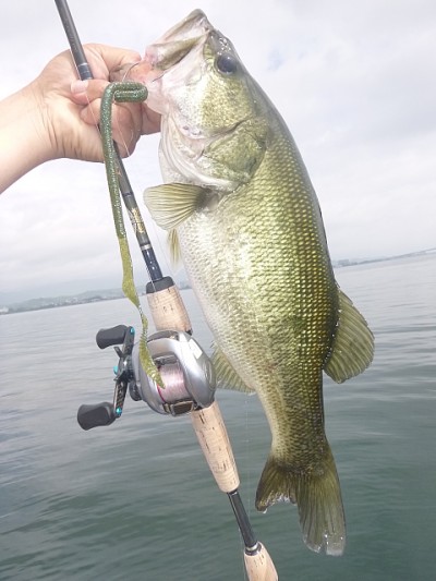 truth news ブログ写真 2014/07/09