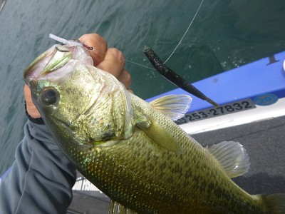 truth news ブログ写真 2014/07/09