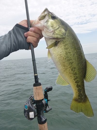 truth news ブログ写真 2014/07/09