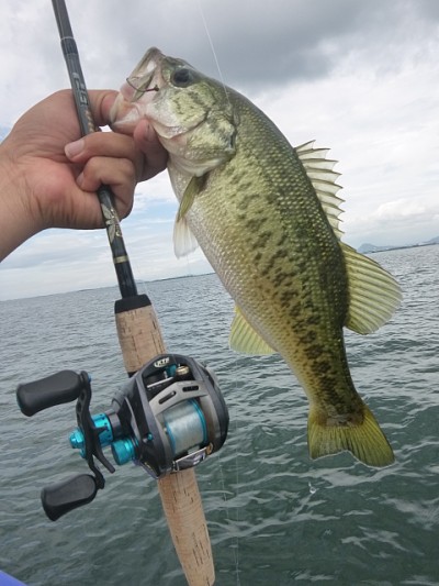 truth news ブログ写真 2014/07/09