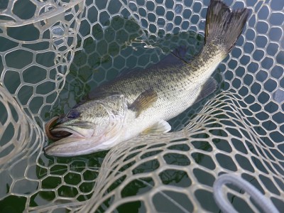 truth news ブログ写真 2014/07/09